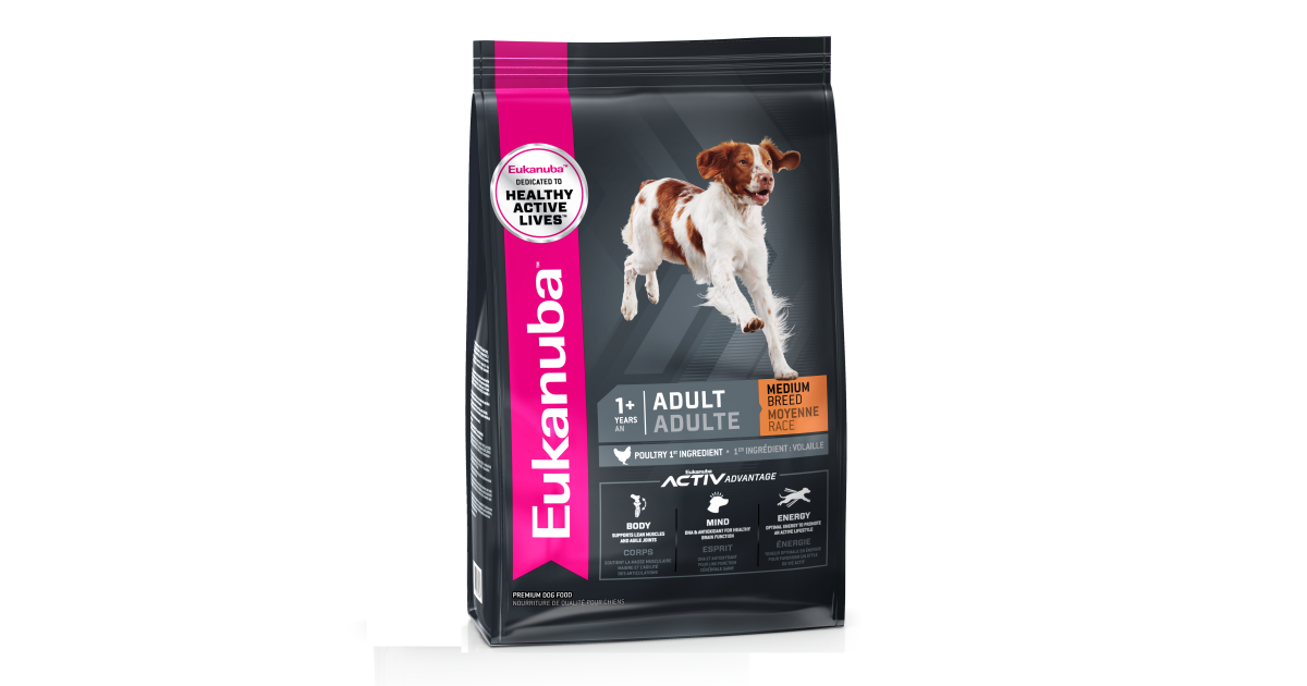 eukanuba active medium breed