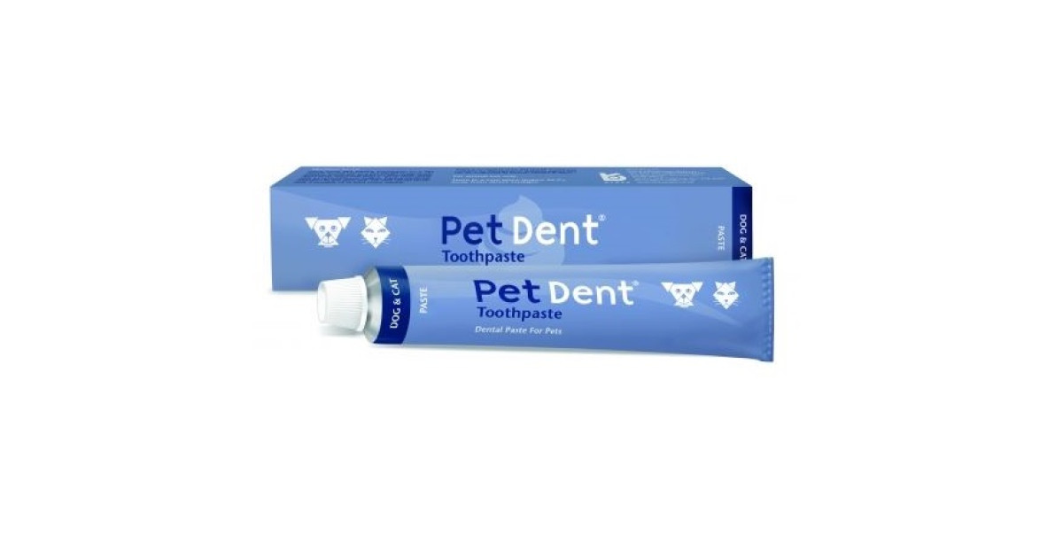 chlorhexidine toothpaste for dogs
