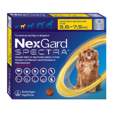 Pet Heaven Buy Nexgard Online In South Africa Nexgard Spectra Chewable Tablet Pet Heaven Online Pet Store