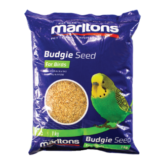 budgie food