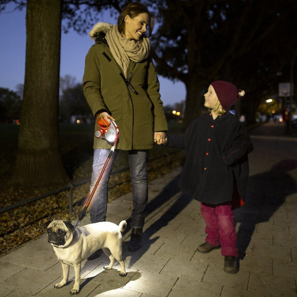 flexi led lighting system dog leash attachment