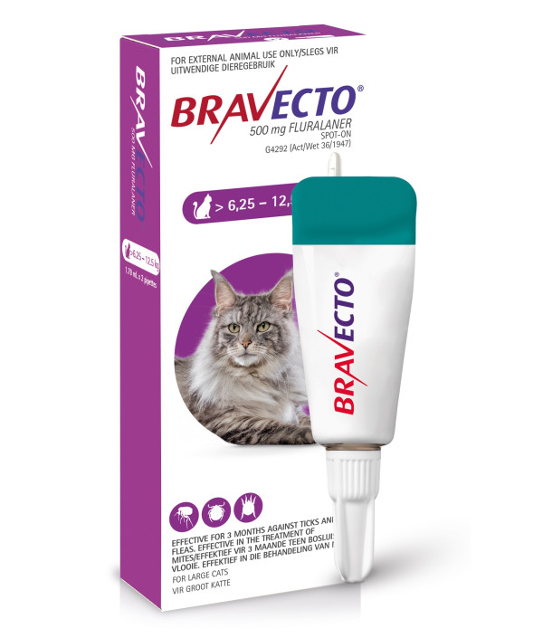 flea treatment bravecto cats
