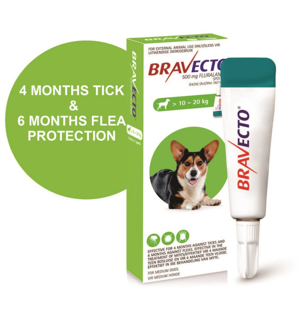 bravecto medium dog