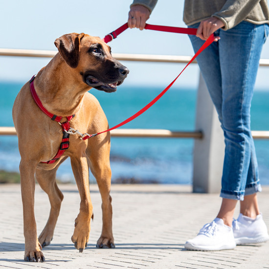 Multi lead Clearance