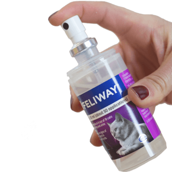buy feliway spray