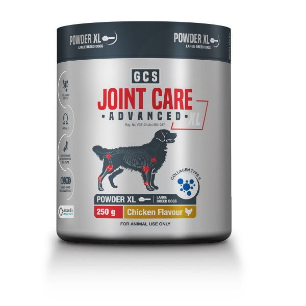 dog joint supplement powder
