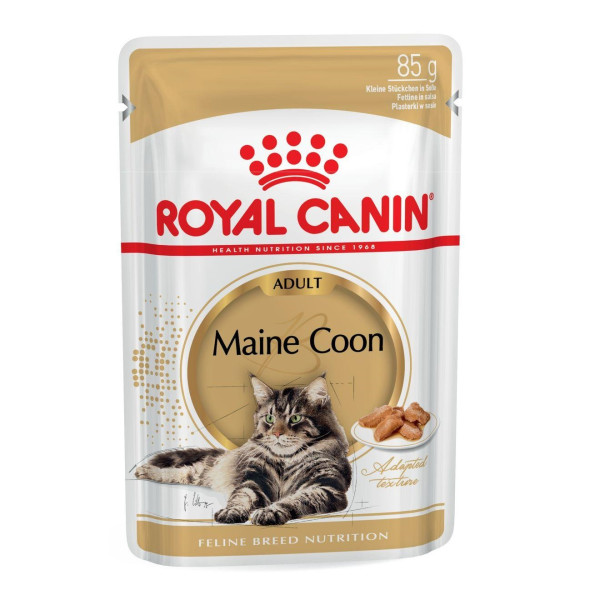 ingesteld Amazon Jungle Recreatie Pet Heaven | Buy Royal Canin Online in South Africa | Royal Canin Maine  Coon Cat Food Pouches| Pet Heaven Online Pet Store