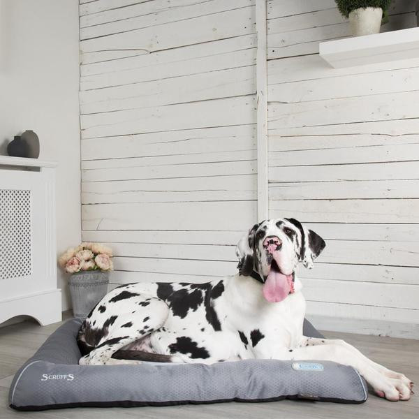 scruffs cool dog bed