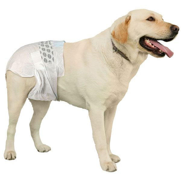 simple solution dog diapers xxl