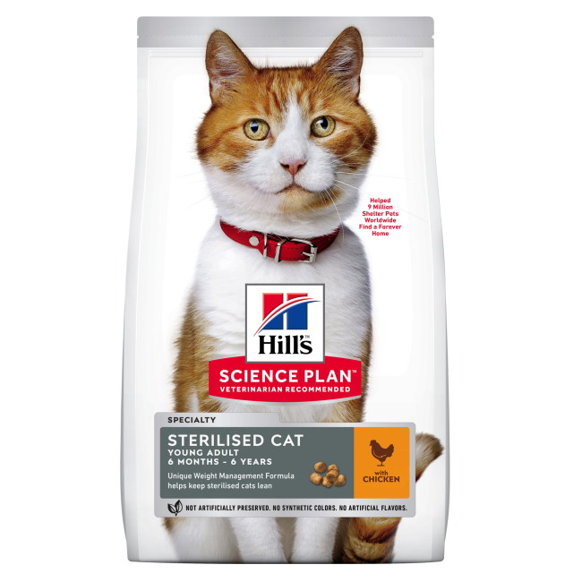 hills cat food