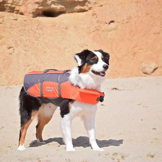 columbia dog jacket