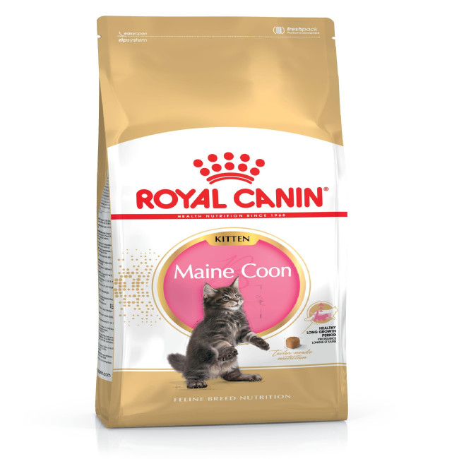 radioactiviteit Ook Lenen Pet Heaven | Buy Royal Canin Online in South Africa | Royal Canin Maine  Coon Kitten Food| Pet Heaven Online Pet Store