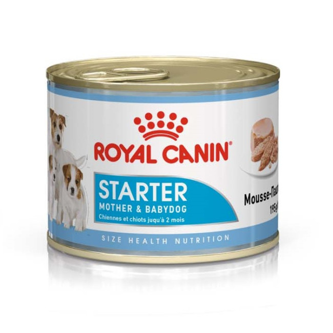 royal canin medium starter mother & babydog