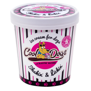 Cool Dog Blastin Biltong Dog Ice Cream - 500ml