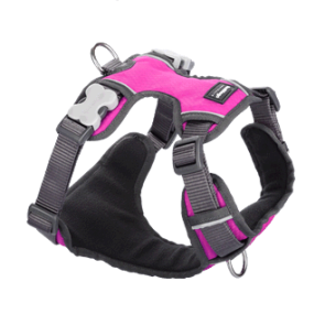 Red Dingo Padded Dog Harness-Pink