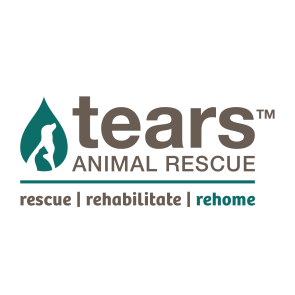 Donate R50 to TEARS