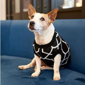 Lucky & Lou The Jordan Knitted Dog Jersey