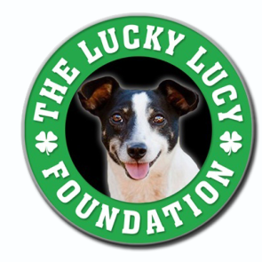 Donate R50 to Lucky Lucy