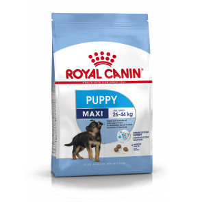 Royal Canin Maxi Junior Puppy Food