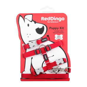 Red Dingo Puppy Harness, Collar & Lead Pack - Red
