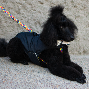Urbanpaws Puffer Dog Jacket - Black