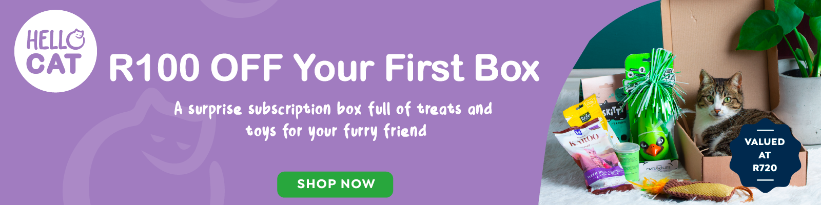 Hello Cat Box Banner