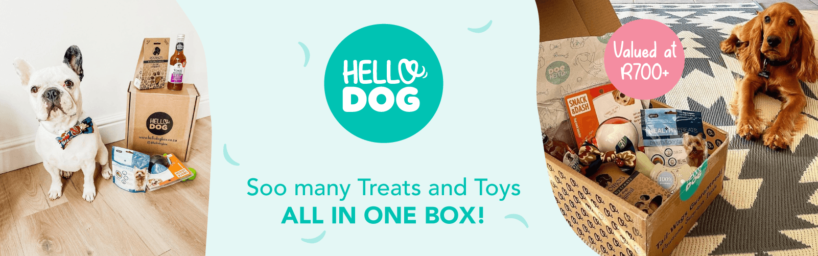 Hello Dog Box