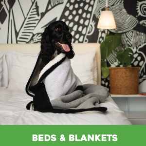 Shop Beds and Blankets