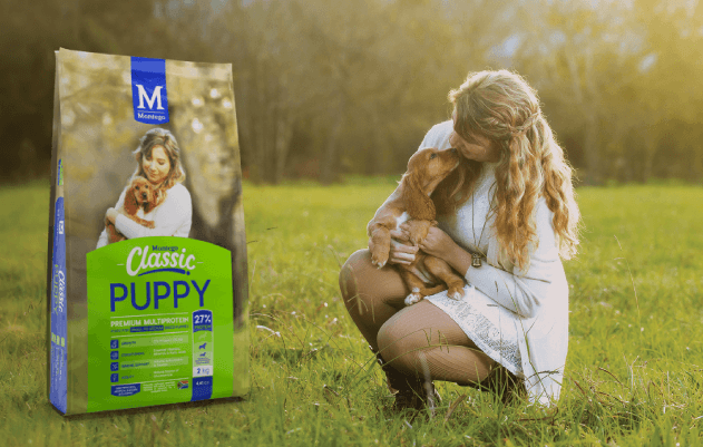 Montego Small Puppy