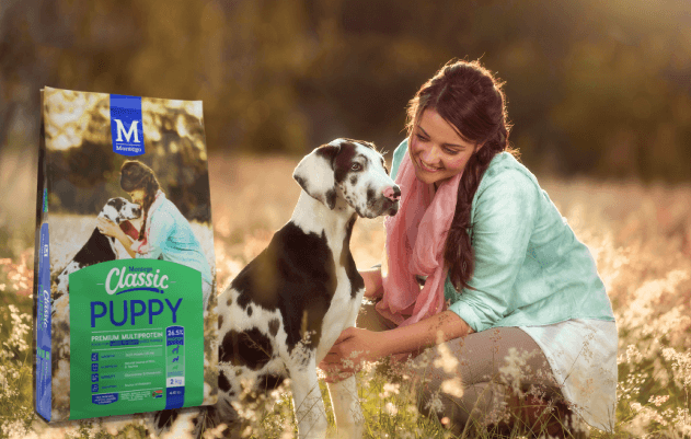 Montego Large Puppy