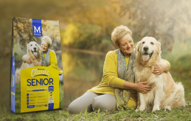 Montego Senior Dog